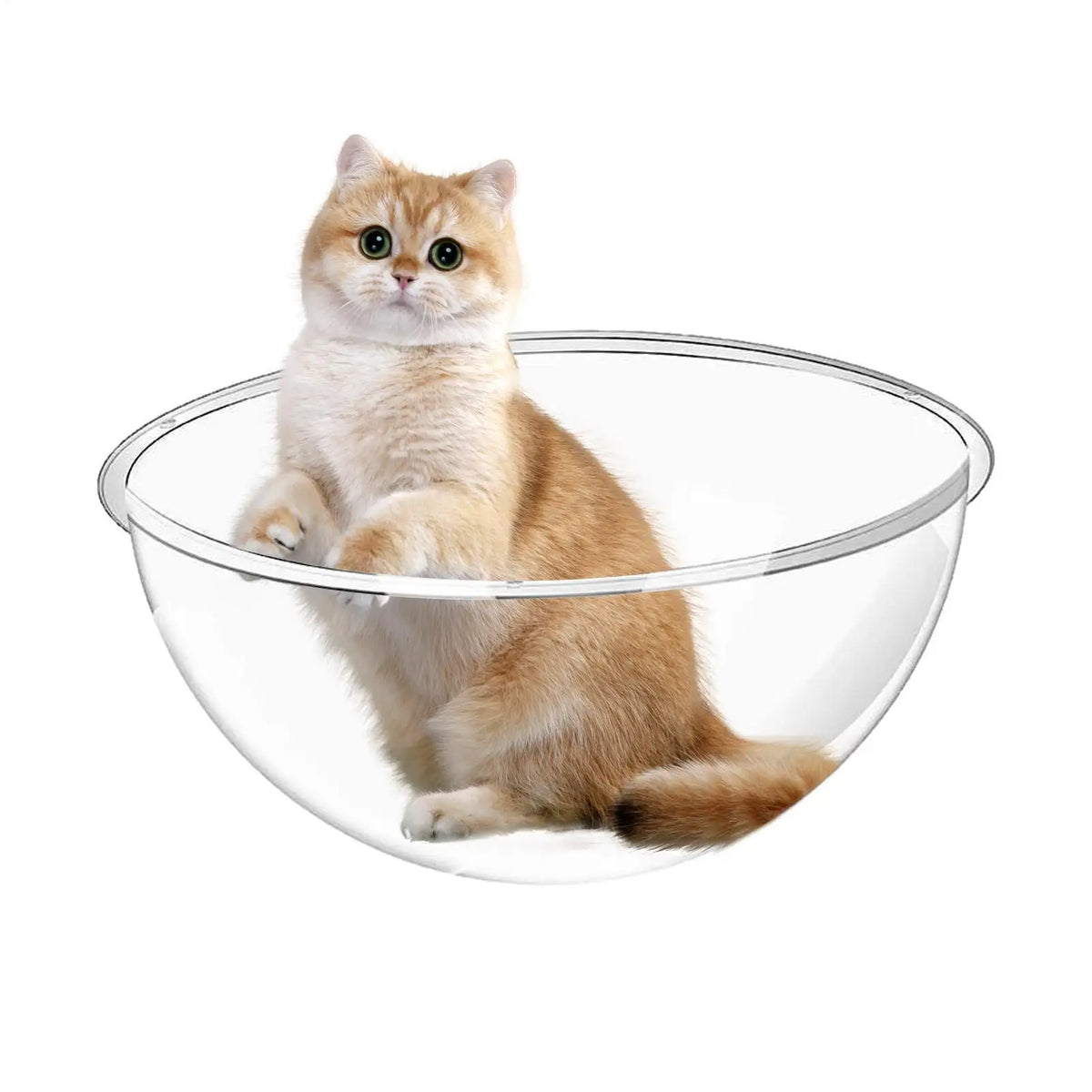 Clear Acrylic Dome Cat Bed – Indoor Climbing & Sleeping Nest Acrylic Cat Bed Axl