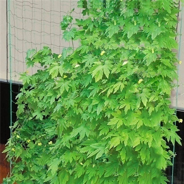 Garden Trellis Netting – Heavy-Duty Nylon Plant Climbing Net Garden Trellis Net Axl 180x360cm