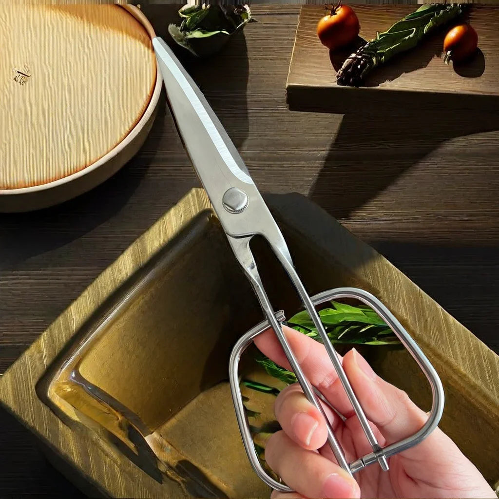 Stainless Steel Detachable Kitchen Scissors – Multifunctional Kitchen Scissors Axl
