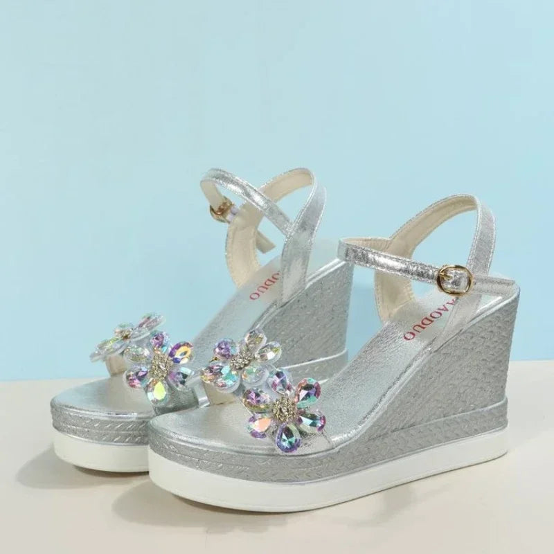 Women's Wedge Platform Sandals – Chunky Ankle Strap Open Toe Wedge Platform Sandals Axl Silver 35