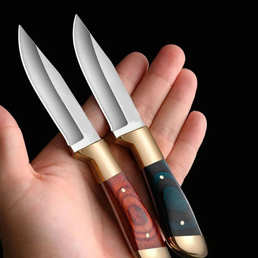 PLYS Stainless Steel EDC Pocket Knife – Fruit, BBQ & Outdoor Folding Pocket Knife Axl
