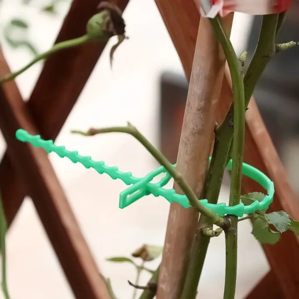 30pc Reusable Plant Twist Ties – Adjustable Stem Support Garden Twist Ties Axl
