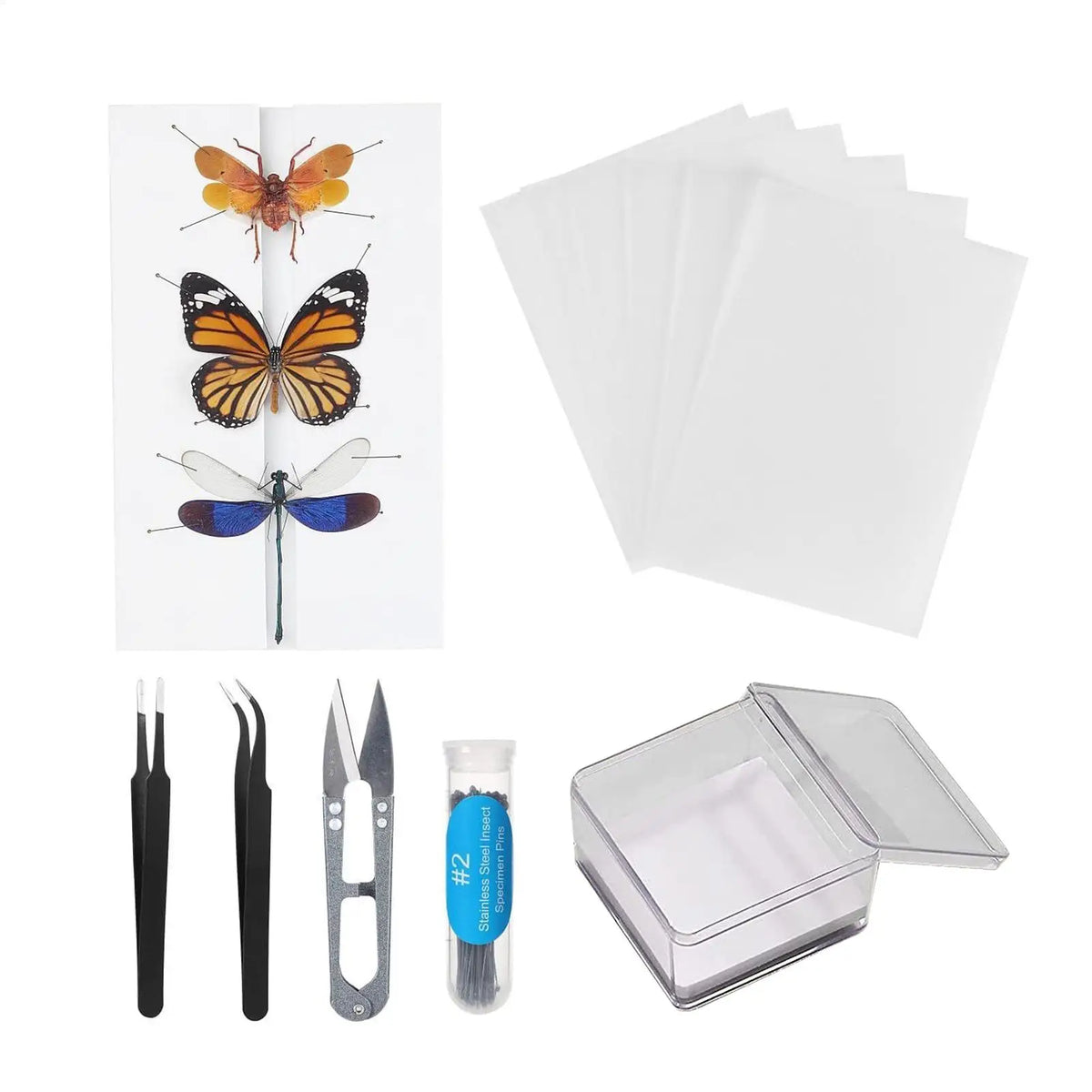 DIY Butterfly Specimen Kit – Insect Pin Wing Board Display Set Specimen Display Kit Axl