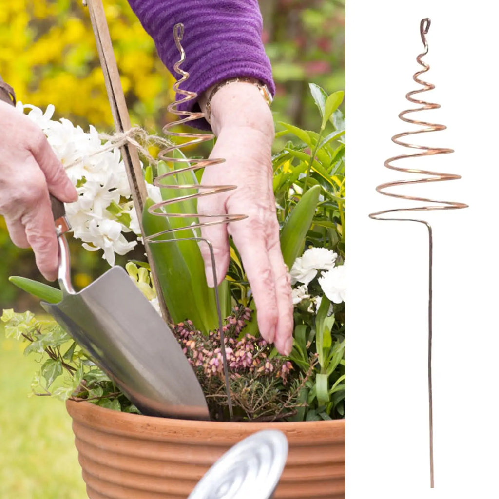 Spiral Copper Garden Stakes 6 Pcs – Indoor & Outdoor Plants Garden Plant Stakes Axl