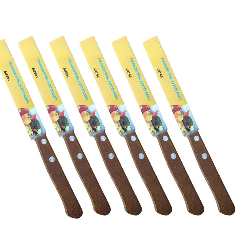 Wood Handle Serrated Steak Knife Set | Stainless Steel Cutlery Steak Knife Set Axl 6 steak knives China Mainland