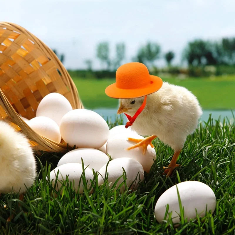 Chicken Hat for Hens & Small Pets – Adjustable Costume Top Hat Pet Costume Hat Axl