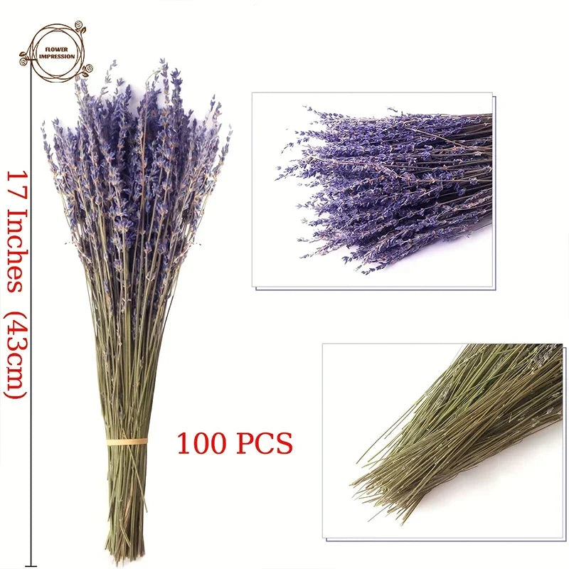 Natural Dried Lavender Bouquet | Wedding & Home Décor Gift Dried Flower Bouquet Axl