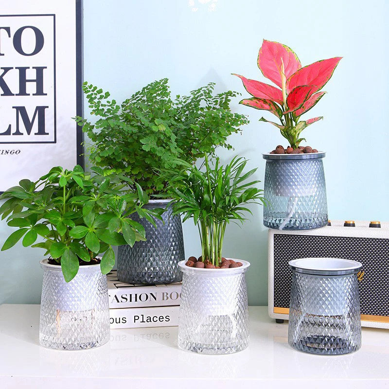 Self-Watering Transparent Planter – Hydroponic Flower Pot Self-Watering Planter Axl