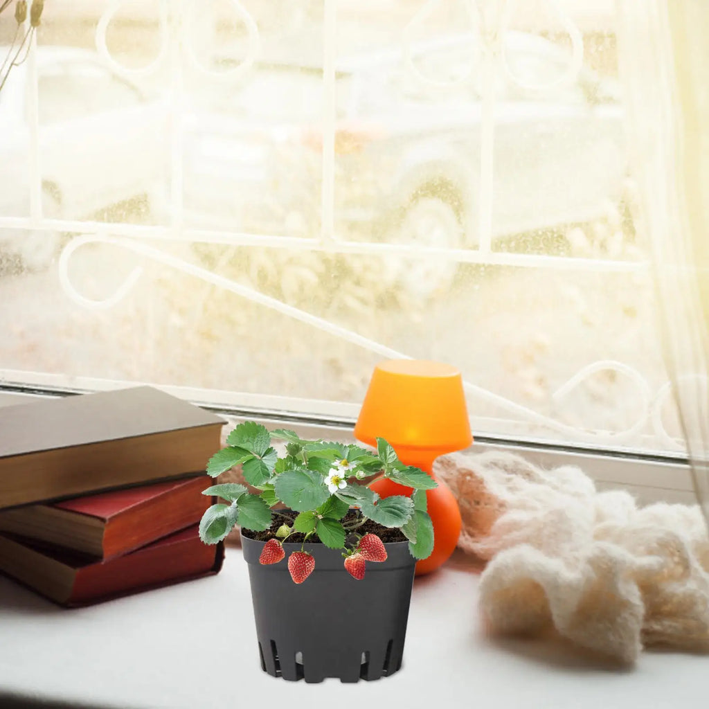 50-Pack Black Seedling Starter Pots with Drainage Holes Seedling Nursery Pots Axl