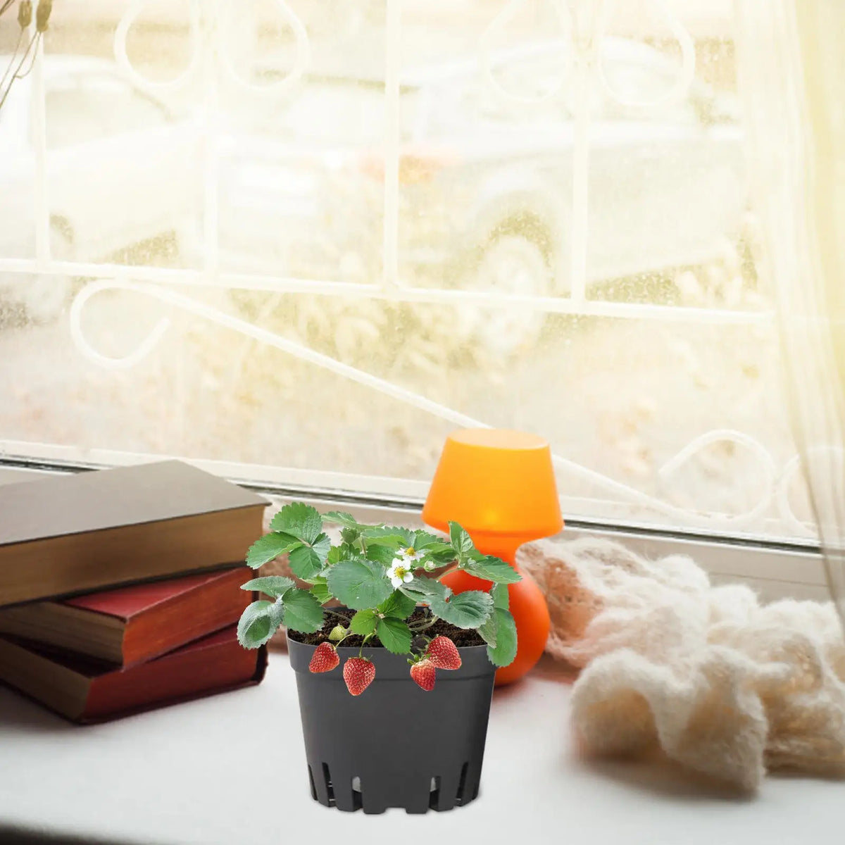 50-Pack Black Seedling Starter Pots with Drainage Holes Seedling Nursery Pots Axl