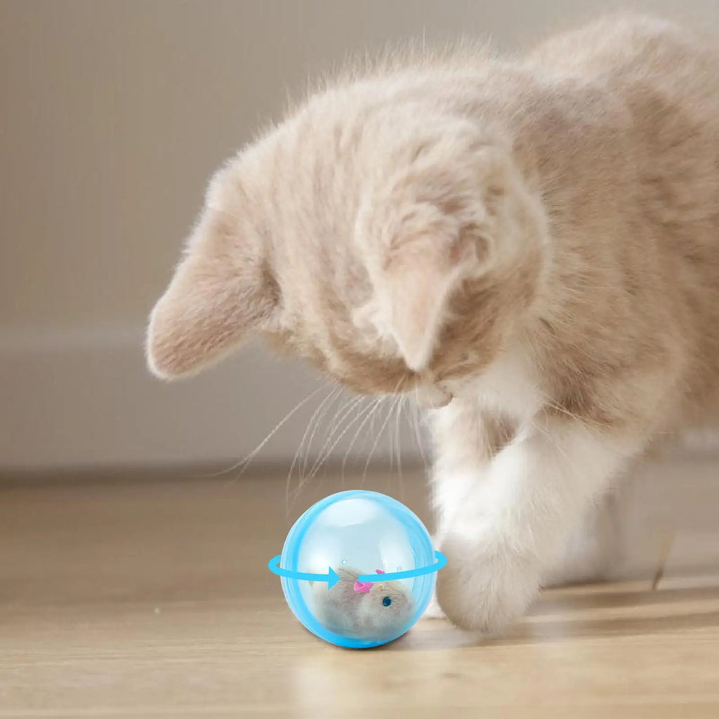 Electric Rolling Ball Interactive Cat & Dog Toy – 360° Auto-Spin Interactive Pet Toy Axl