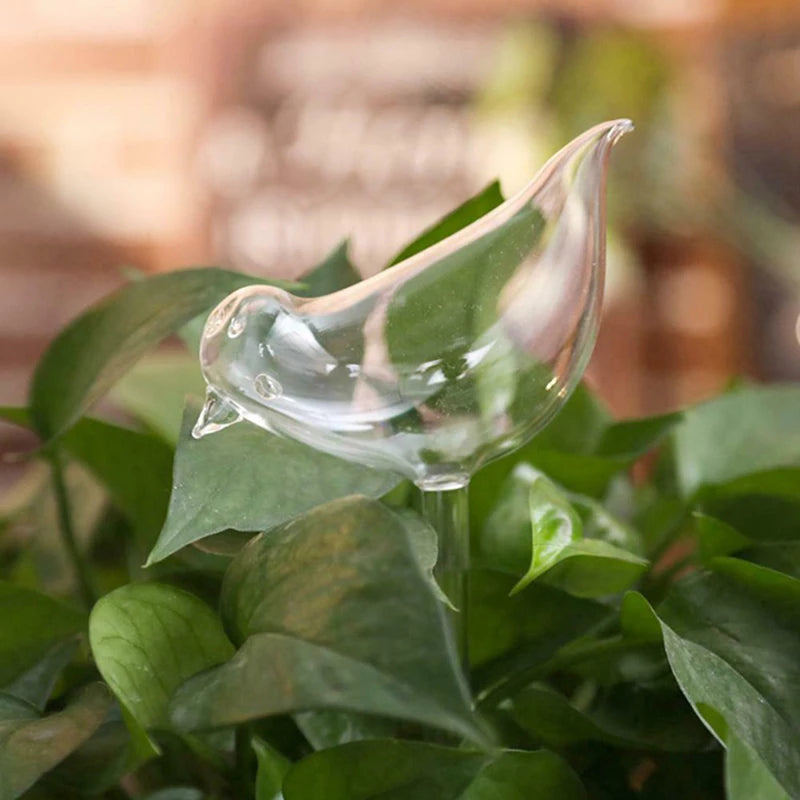 Bird Self Watering Globe – Plastic Plant Waterer Bulb Self Watering Globe Axl