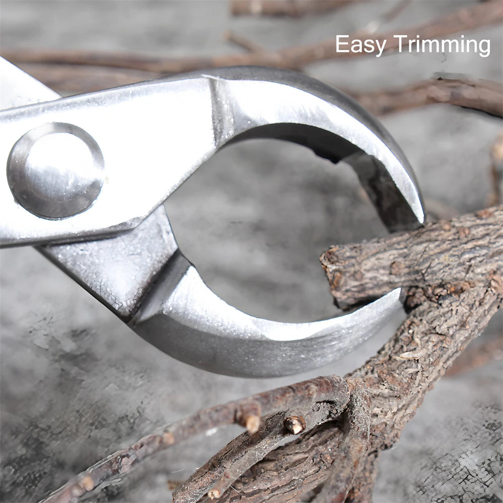 Bonsai Ball Shear Round Pruning Scissors Garden Tool Bonsai Pruning Shears Axl