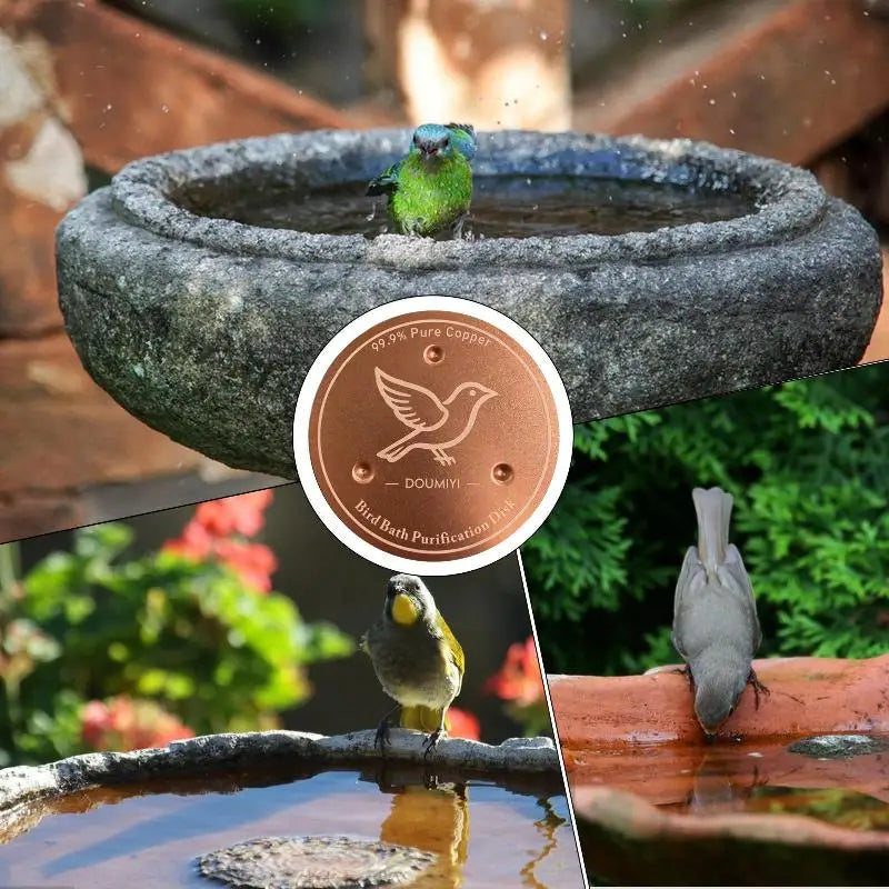 Pure Copper Bird Bath Purification Disk | Algae-Inhibiting Bird Bath Accessory Axl