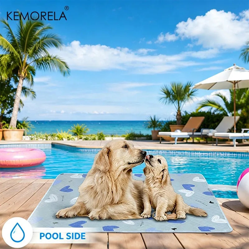 2-Pack Washable Dog Training Pads – Odor Resistant | KEMORELA Dog Training Pad Axl