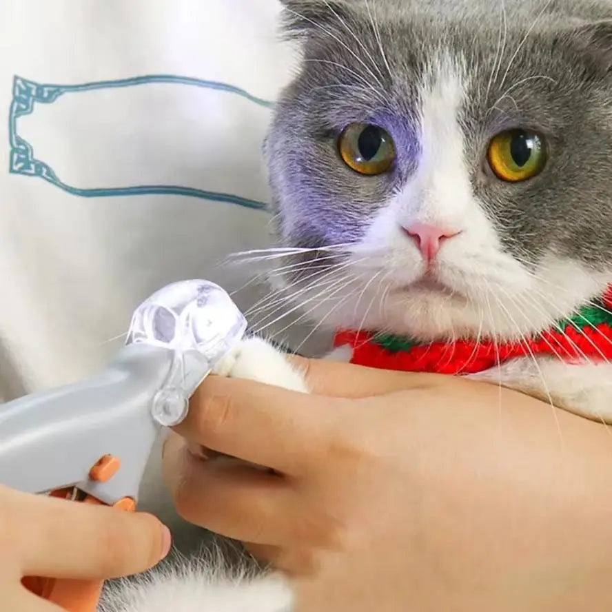LED Pet Nail Clipper with Light & 5x Magnifier | Dogs & Cats Pet Nail Clipper Axl