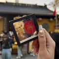 Feng Shui Mini Golden Money Turtle – Lucky Wealth Decor Feng Shui Figurine Axl A4
