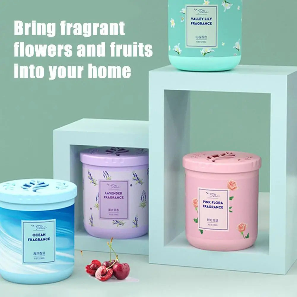 Natural Plant Air Freshener – Indoor Odor Eliminator Air Freshener Axl