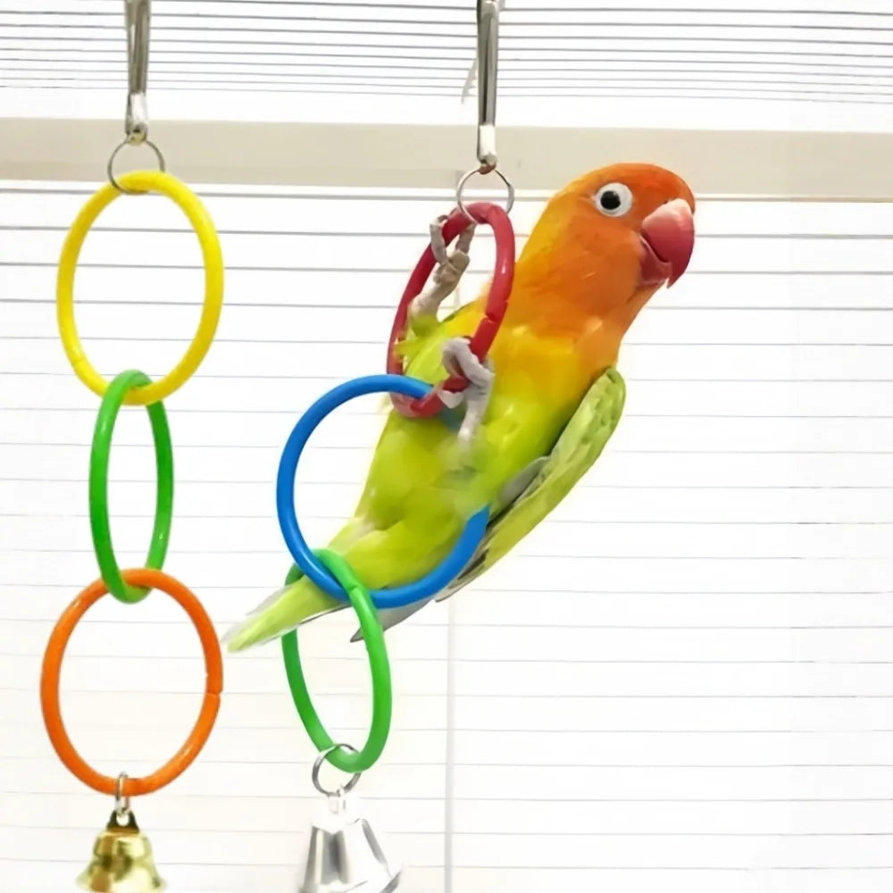 Colorful Hanging Ring Toy for Birds – Cage Swing & Climb Bird Cage Toy Axl