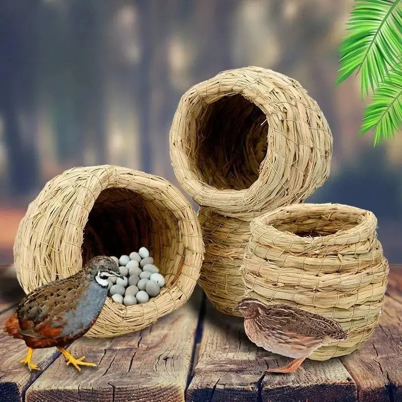 Handmade Grass Woven Bird Nest – Hanging Parrot & Hummingbird Hut Bird Nest Hut Axl