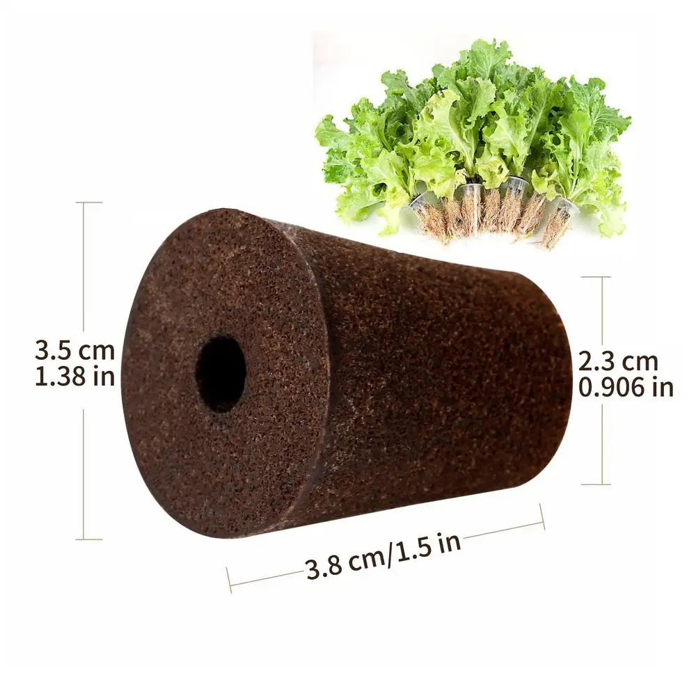 Hydroponic Growing Sponges 50-Pack – Seed Pod & Clone Kit Hydroponic Growing Sponges Axl As show