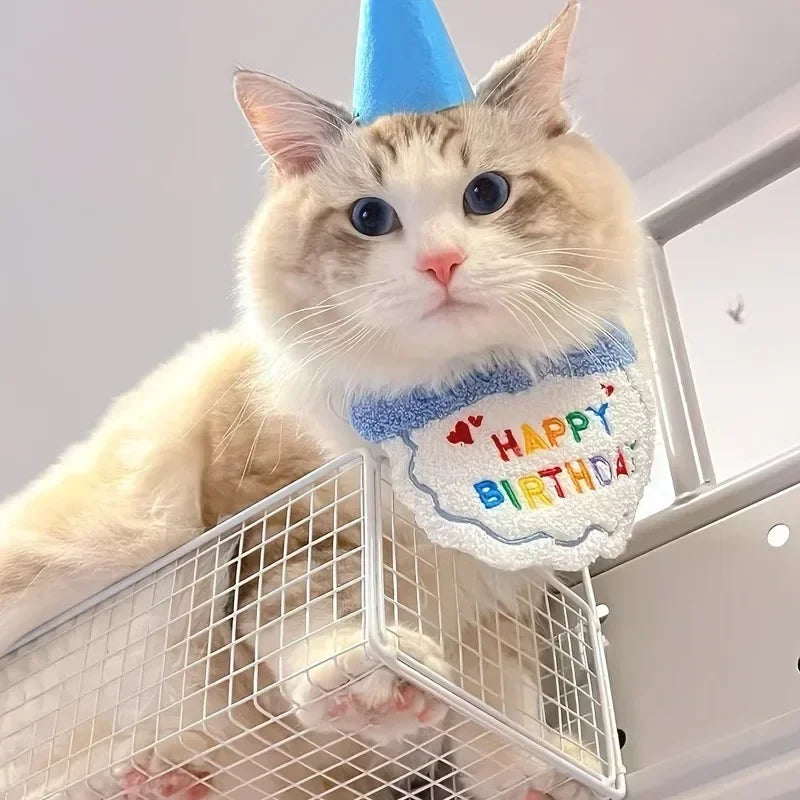 Pet Birthday Hat & Scarf Set – Cute Cat & Dog Accessories Pet Costume Set Axl