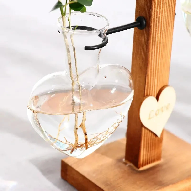 Vintage Glass Hydroponic Vase & Plant Propagation Station Hydroponic Vase Axl