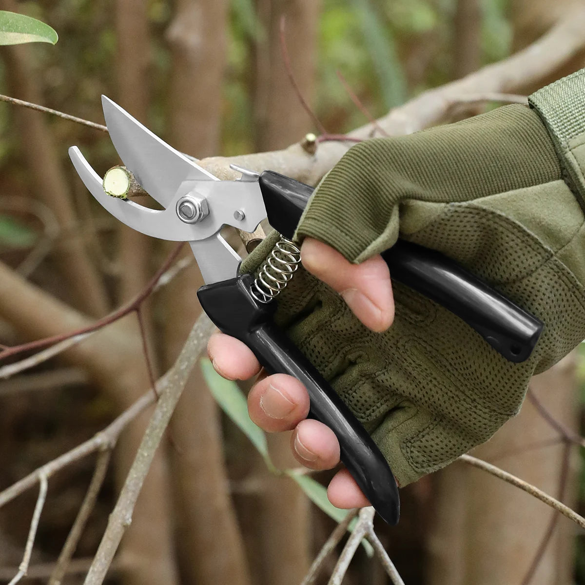 Stainless Steel Grafting & Pruning Shears | Fruit Tree Garden Tool Pruning Shears Axl
