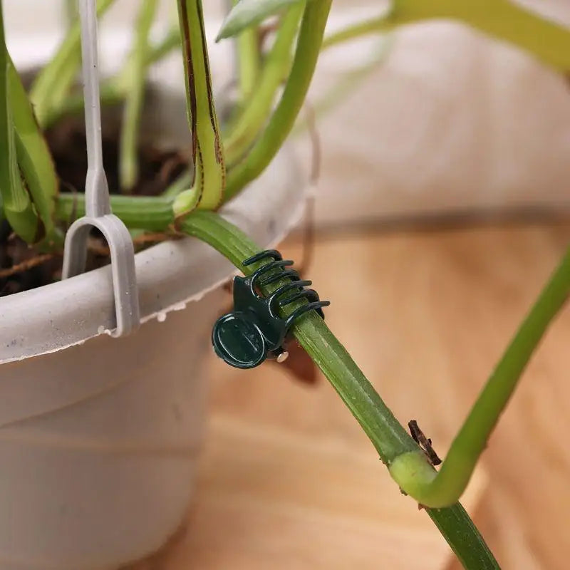 100 PCS Plant Support Clips for Orchid, Flower & Vine Stems Plant Support Clips Axl