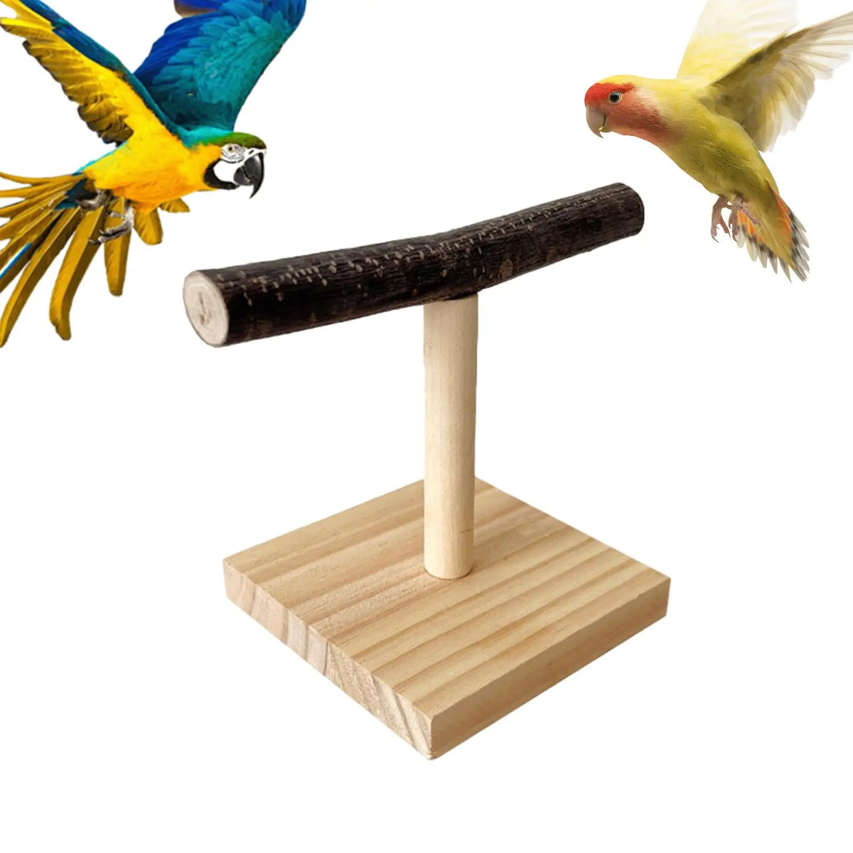 Natural Wood Parrot T-Perch Stand – Chew Toy & Training Perch Bird Perch Stand Axl