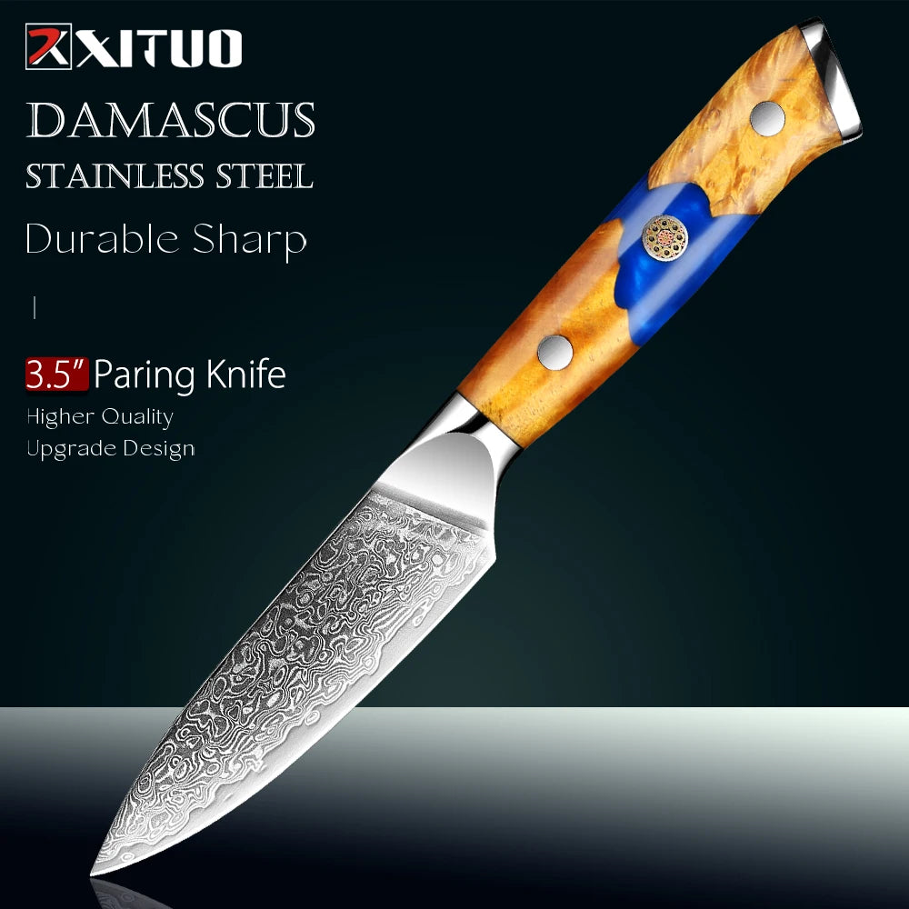 XITUO 3.5" Damascus Steel Paring Knife – Sharp Full Tang Paring Knife Axl