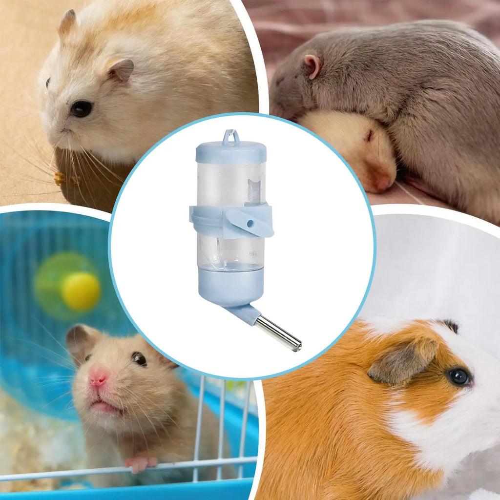 No-Drip Hamster Water Bottle 80ml | Cage Dispenser Small Pets Pet Water Bottle Axl