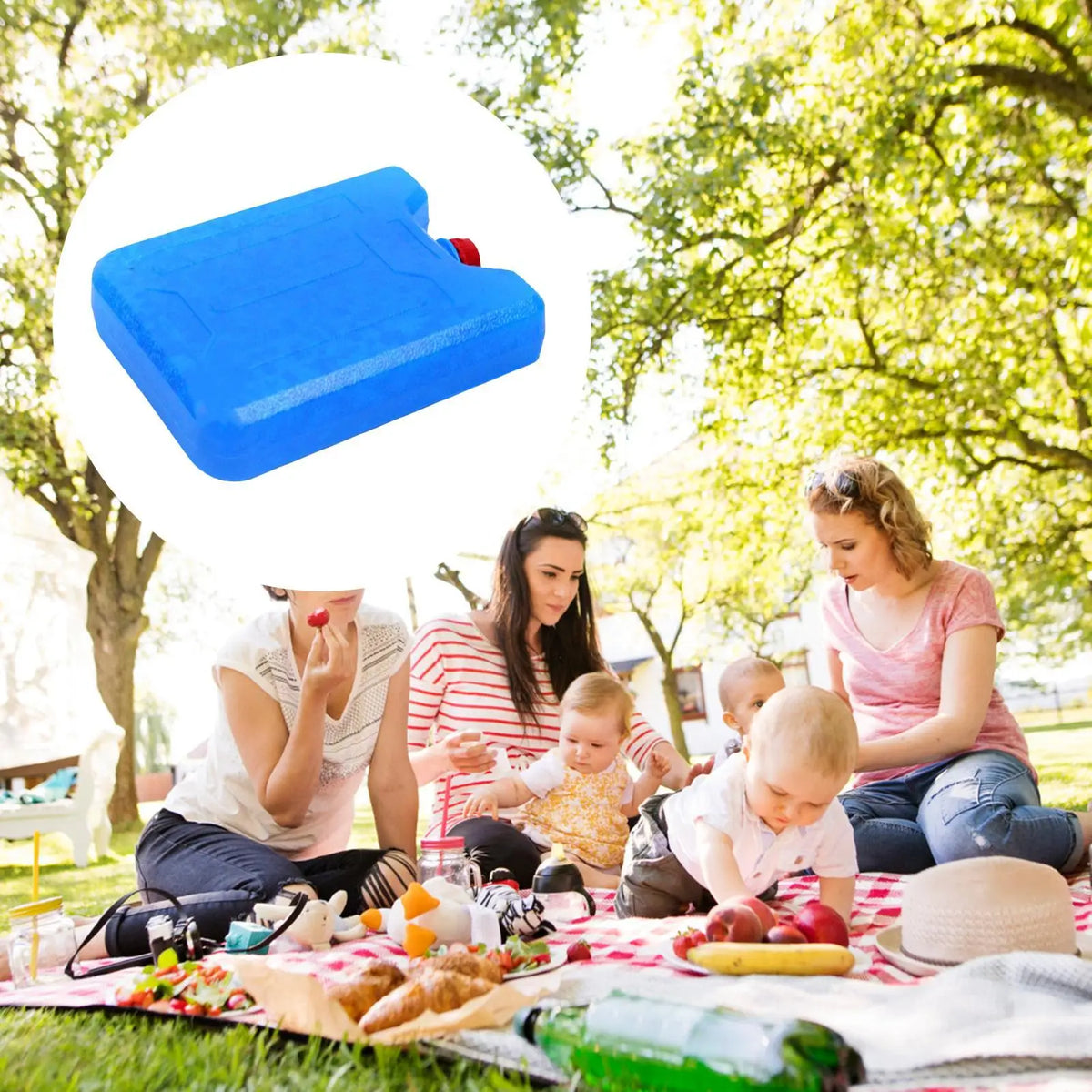 Reusable Ice Crystal Freezer Pack – Picnic & Food Cooler Reusable Ice Pack Axl