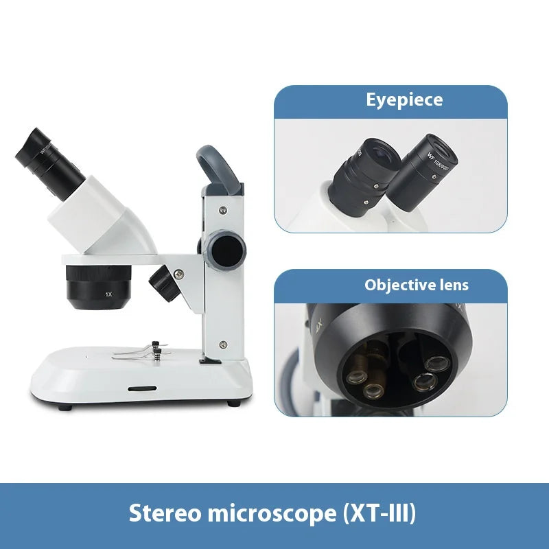 Stereoscopic Microscope 10X 20X 40X Oblique LED Light Stereoscopic Microscope Axl
