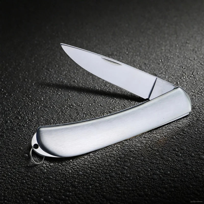 Mini Folding Pocket Knife – Stainless Steel Camping Fruit Knife Folding Pocket Knife Axl