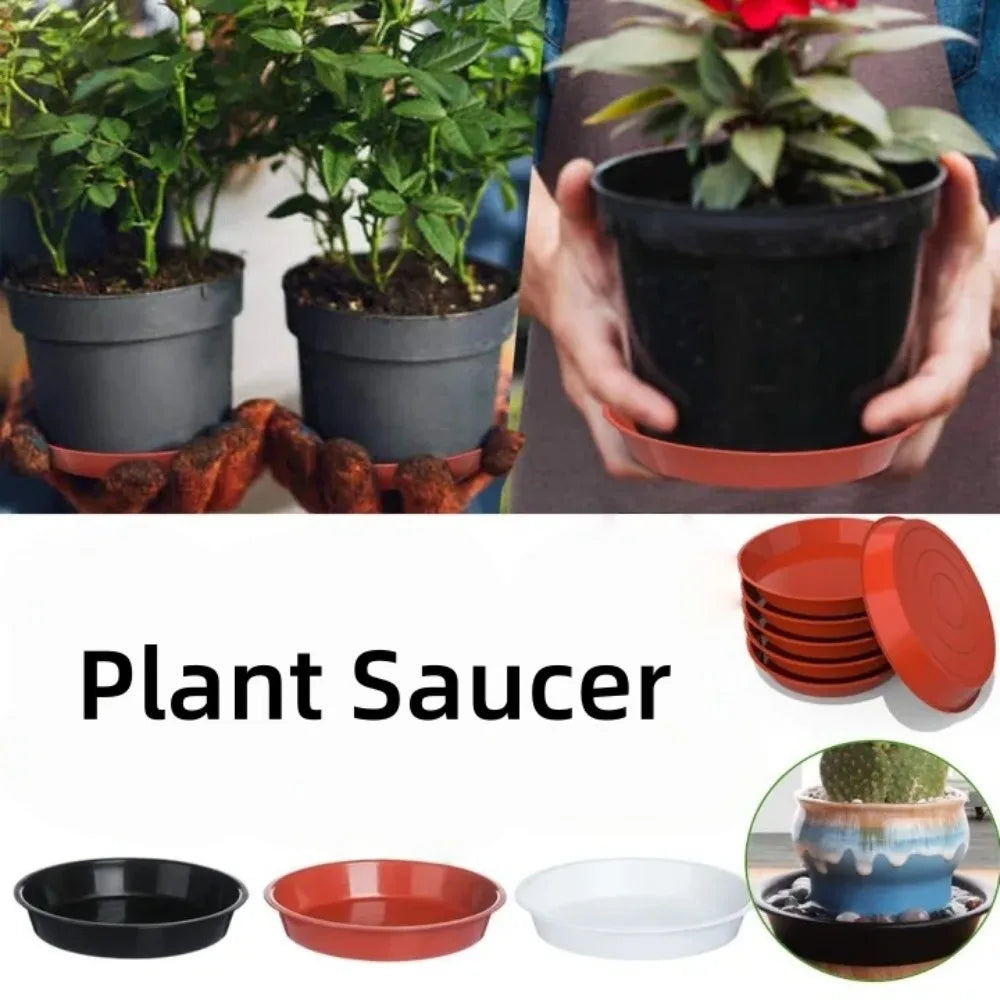 6-Pack Round Plastic Plant Drip Trays 16cm – Indoor Saucers Plant Drip Trays Axl