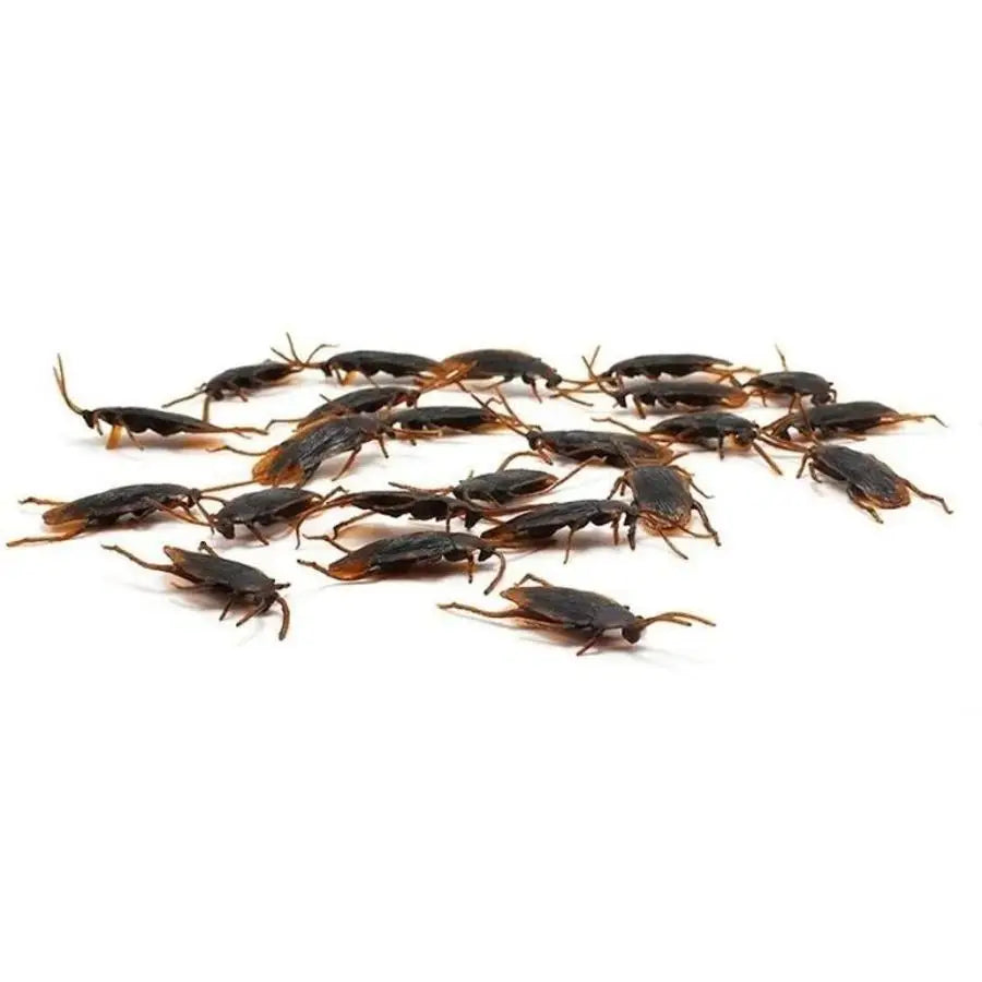 10-Pack Realistic Fake Cockroaches – Halloween Prank Toy Set Prank Novelty Toy Axl