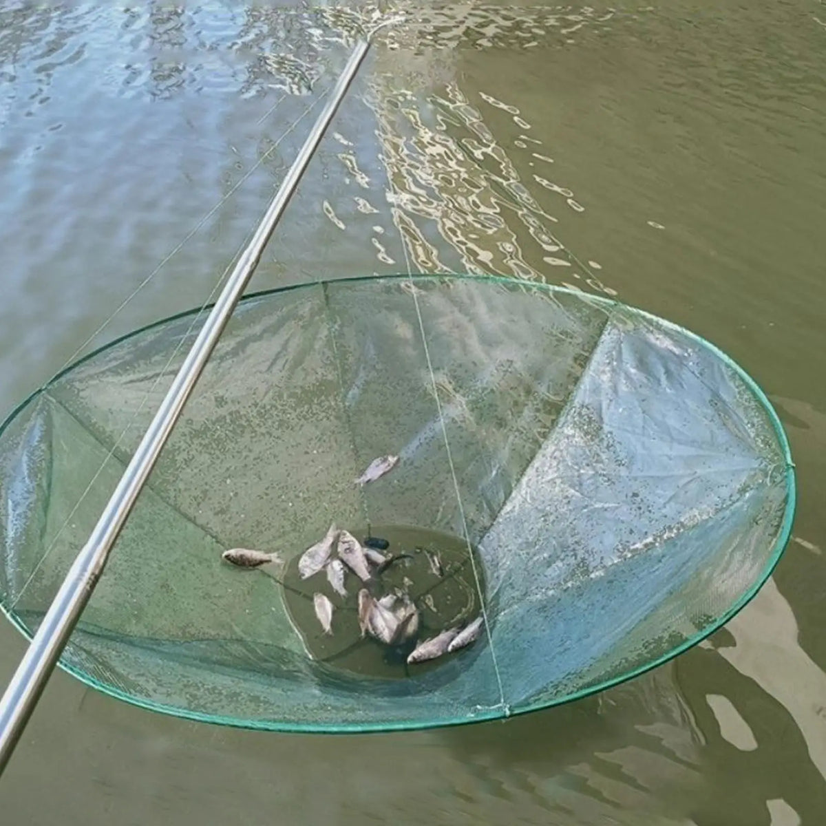 Collapsible Pier Fishing Drop Net – Soft Steel Hoop 80 & 100cm Fishing Drop Net Axl