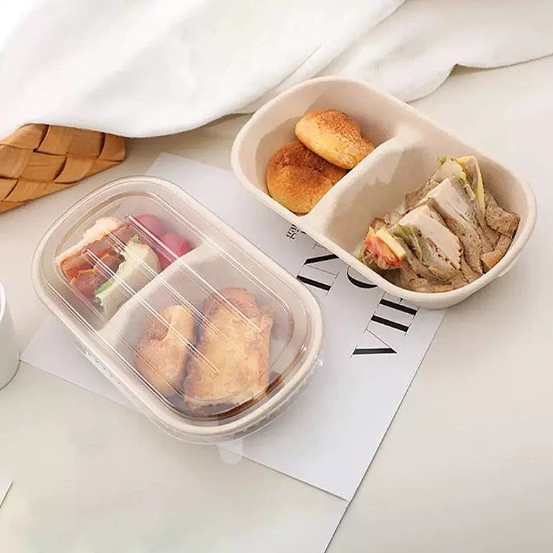 Biodegradable Sugarcane Lunch Boxes | 10/50 Pack, 4 Sizes Disposable Food Containers Axl