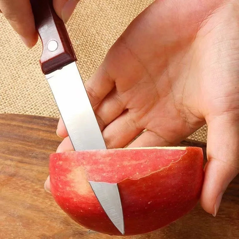 Stainless Steel Portable Fruit Knife – Wood-Look Handle | 19cm Kitchen & Outdoor Knife Axl