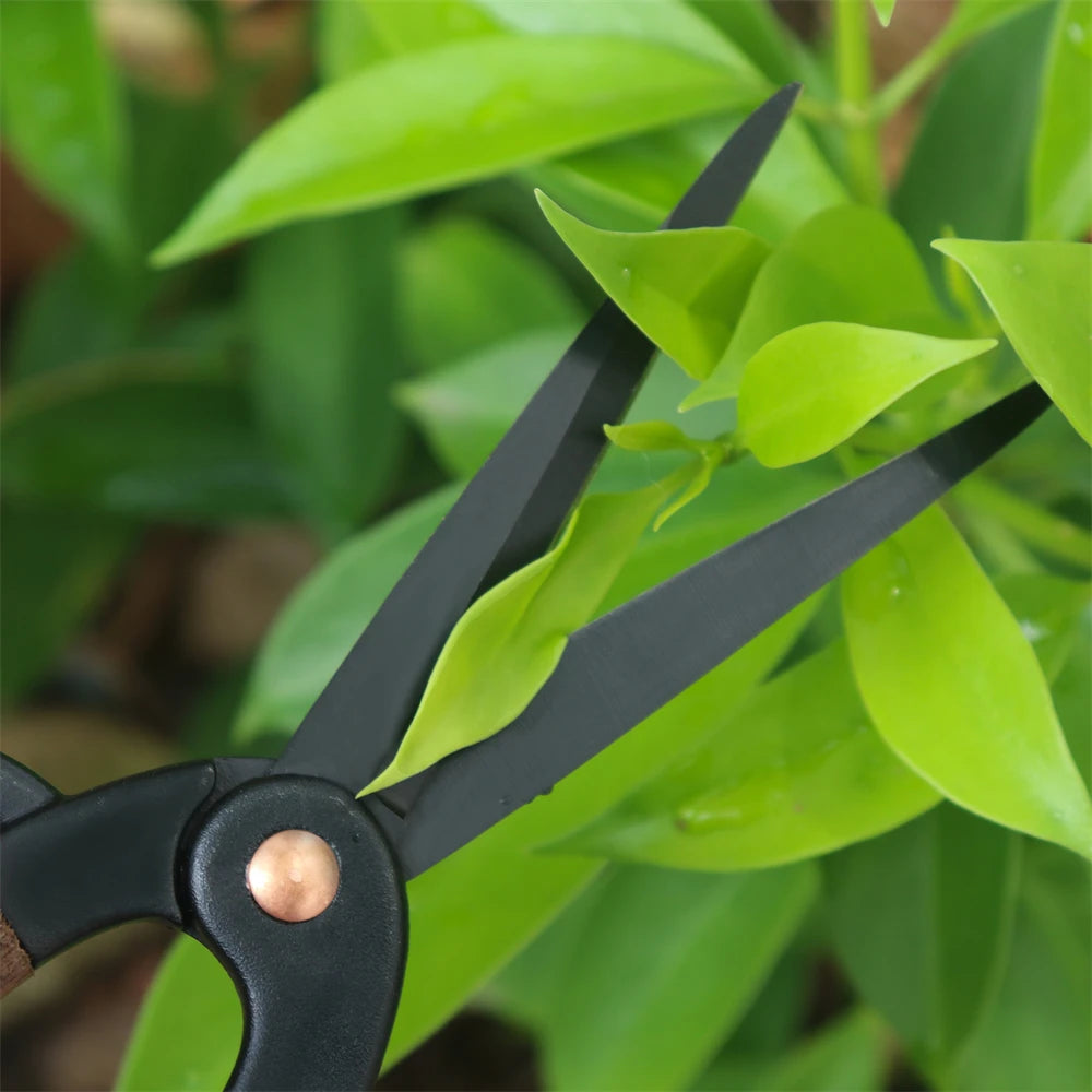 High Carbon Steel Pruning Shears – Fruit Tree & Garden Pruner Pruning Shears Axl