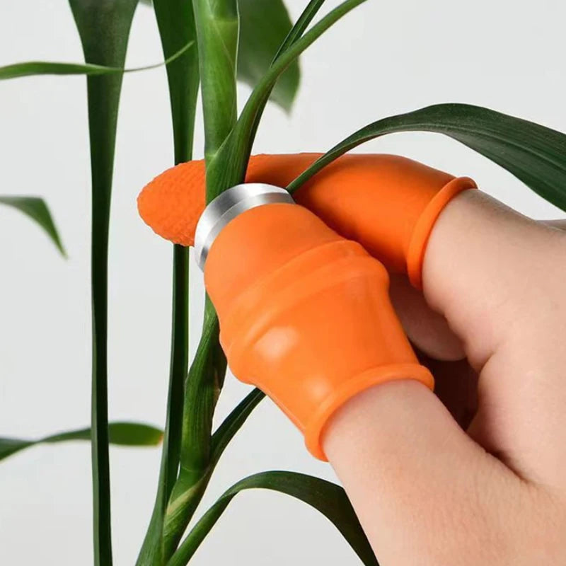 Wearable Thumb Knife – Vegetable & Fruit Picker Garden Tool Wearable Garden Tool Axl