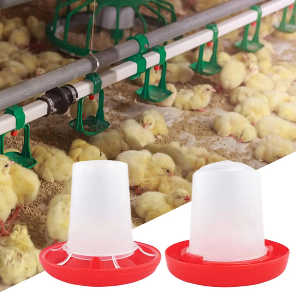 Automatic Chicken Waterer & Feeder Set | Gravity-Fed Poultry Poultry Waterer Feeder Axl