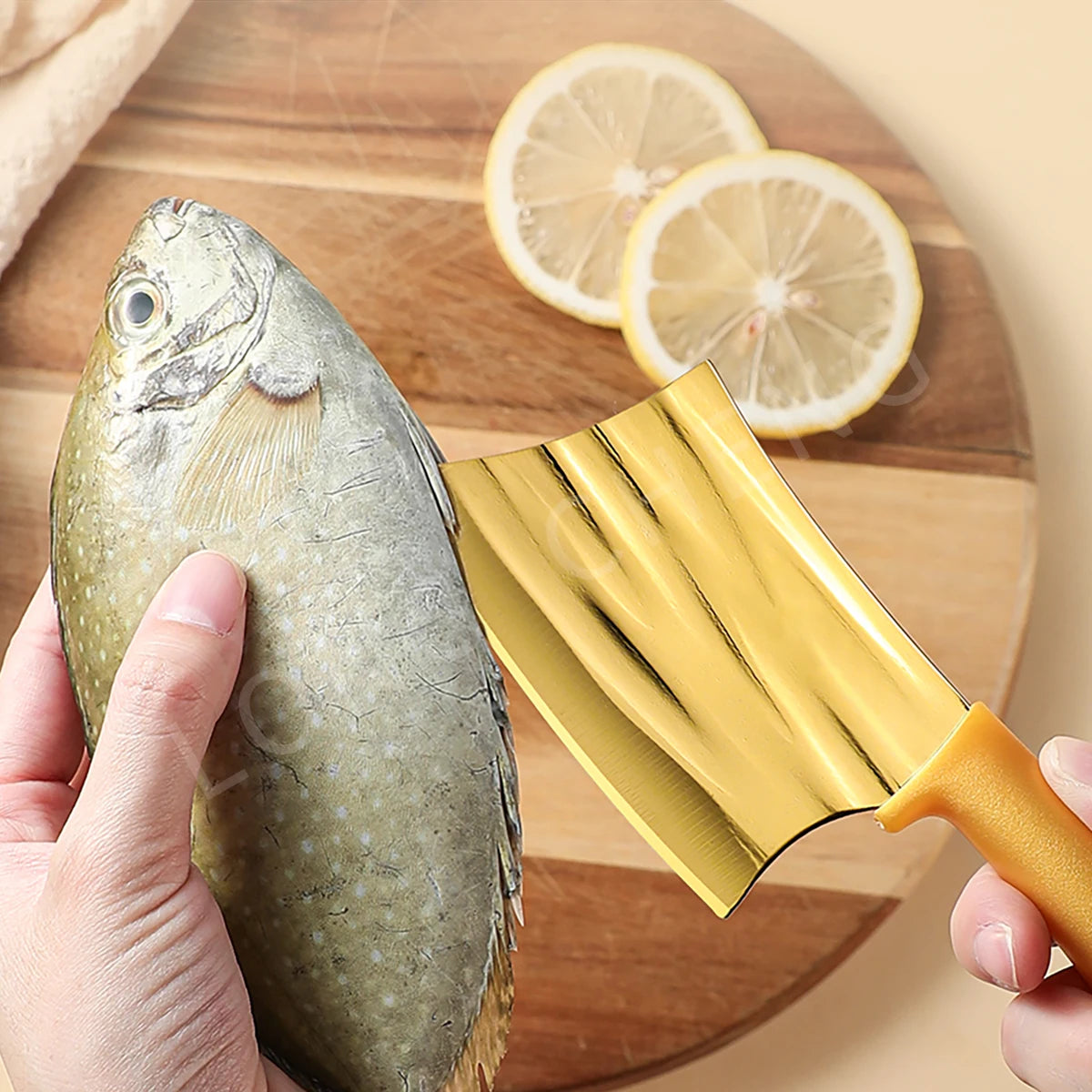 Golden Rainbow Stainless Steel Chef & Filleting Knife Kitchen Chef Knife Axl