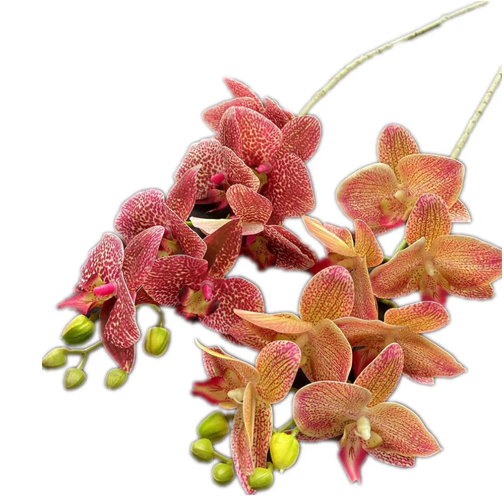 Artificial Phalaenopsis Orchid Branch – 7 Heads, Real Touch 69cm Artificial Flower Stem Axl