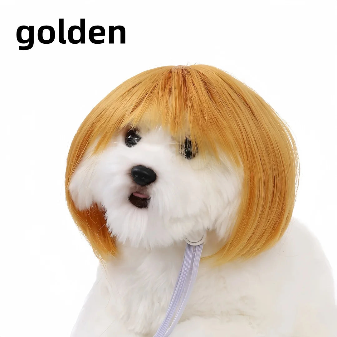 Funny Pet Bob Wig for Cats & Dogs – Halloween Cosplay Pet Costume Wig Axl Gold