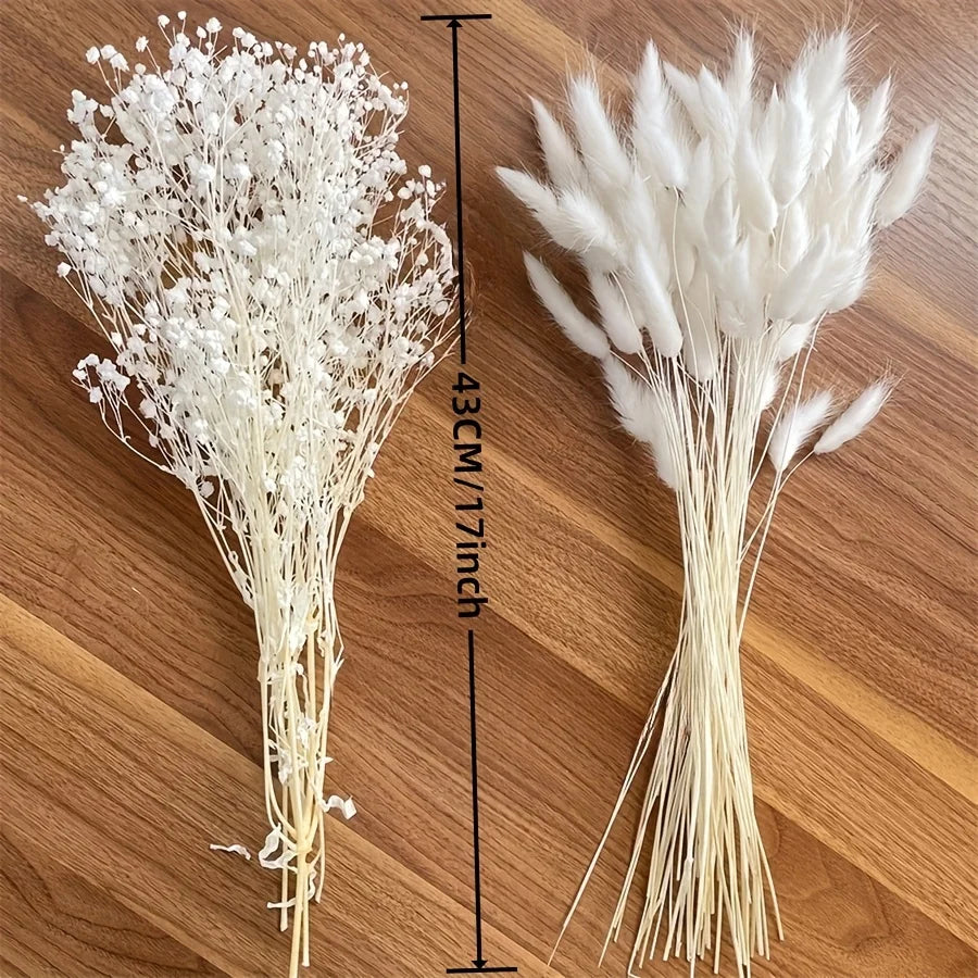 White Gypsophila Pampas Grass Dried Flower Bouquet | Boho Décor Dried Flower Bouquet Axl