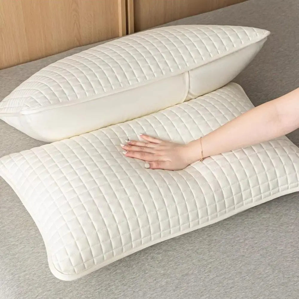 Waterproof Pillowcase Anti-Mite Pillow Protector Cover 48x74cm Pillow Protector Cover Axl
