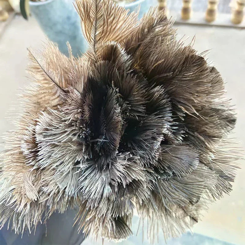 Natural Ostrich Feather Duster with Wooden Handle | Home Cleaning Feather Duster Axl