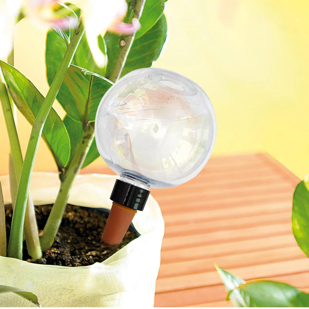 500ml Automatic Plant Watering Globe – Self-Watering Spike Plant Watering Globe Axl